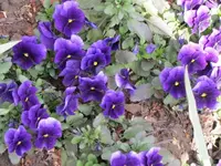 014.webp