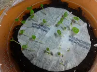P1050230.webp