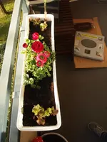 K1600_P4143171.webp