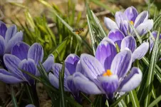 _DSC1315.webp
