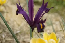 _DSC1303.webp