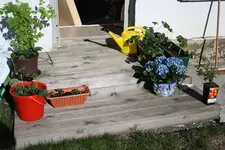 Sonnenbad 14.04.2013.webp