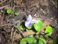 CIMG9841.webp