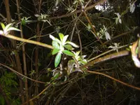 CIMG9836.webp