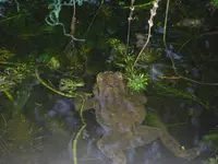 CIMG9844.webp