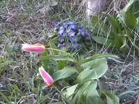 BILD1966.webp