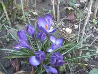 BILD1971.webp