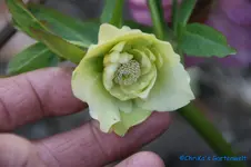 comp_DSC09334.webp