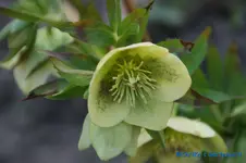 comp_DSC09335.webp