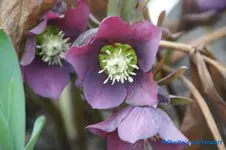comp_DSC09336.webp
