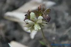 comp_DSC09341.webp