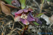 comp_DSC09347.webp