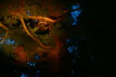 IMG-20130414-WA0042.webp