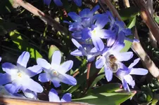 2013_0414Frühling0055.webp