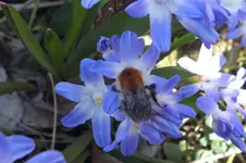 2013_0414Frühling0057.webp