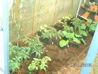 GWH links.webp