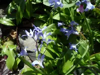 SAM_1155.webp