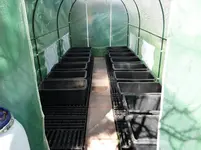 Folientunnel4.webp