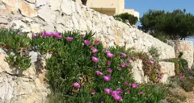 vr 147.webp