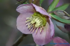 comp_DSC09349.webp