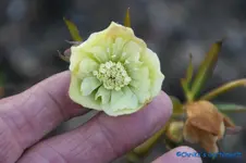 comp_DSC09350.webp