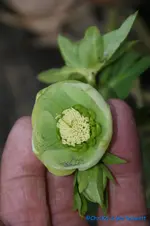comp_DSC09351.webp