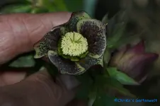 comp_DSC09355.webp