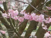 029.webp