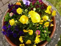 P1050250.webp