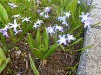 P1050260.webp