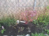 20130416_094837.webp