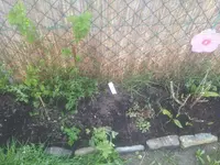 20130416_094845.webp