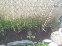 20130416_094906.webp