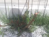 20130416_094922.webp