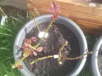 20130416_095048.webp