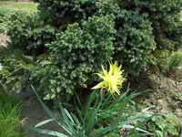 SAM_0940.webp
