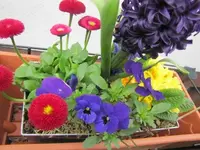 010.webp