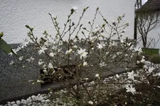IMG_3574.webp