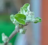 DSC_1139.2.webp
