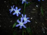 P1050287.webp