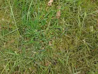 CameraZOOM-20130416141224461.webp