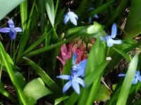Farbe2.webp