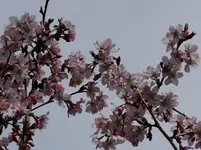Farbe3.webp