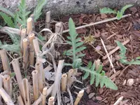 4 081.webp 4 081.webp
