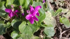 WP_20130417_001.webp
