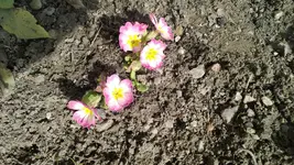 WP_20130417_005.webp