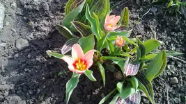 WP_20130417_003.webp