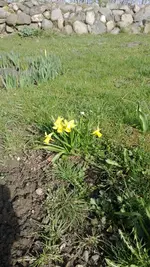 WP_20130417_007.webp