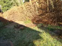 vorher 1.webp