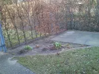 vorher 8.webp